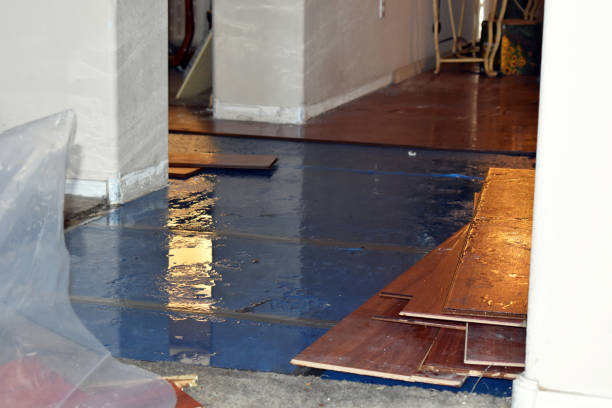 Professional Water Damage Restoration technician working in Hillsborough, CA